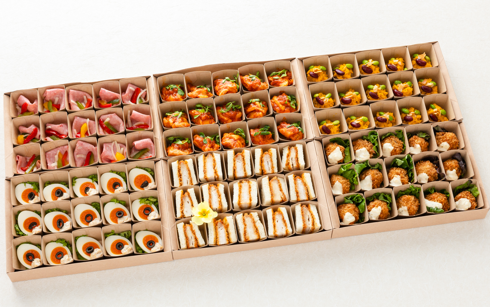 アヤカミバコ　TANPOPO